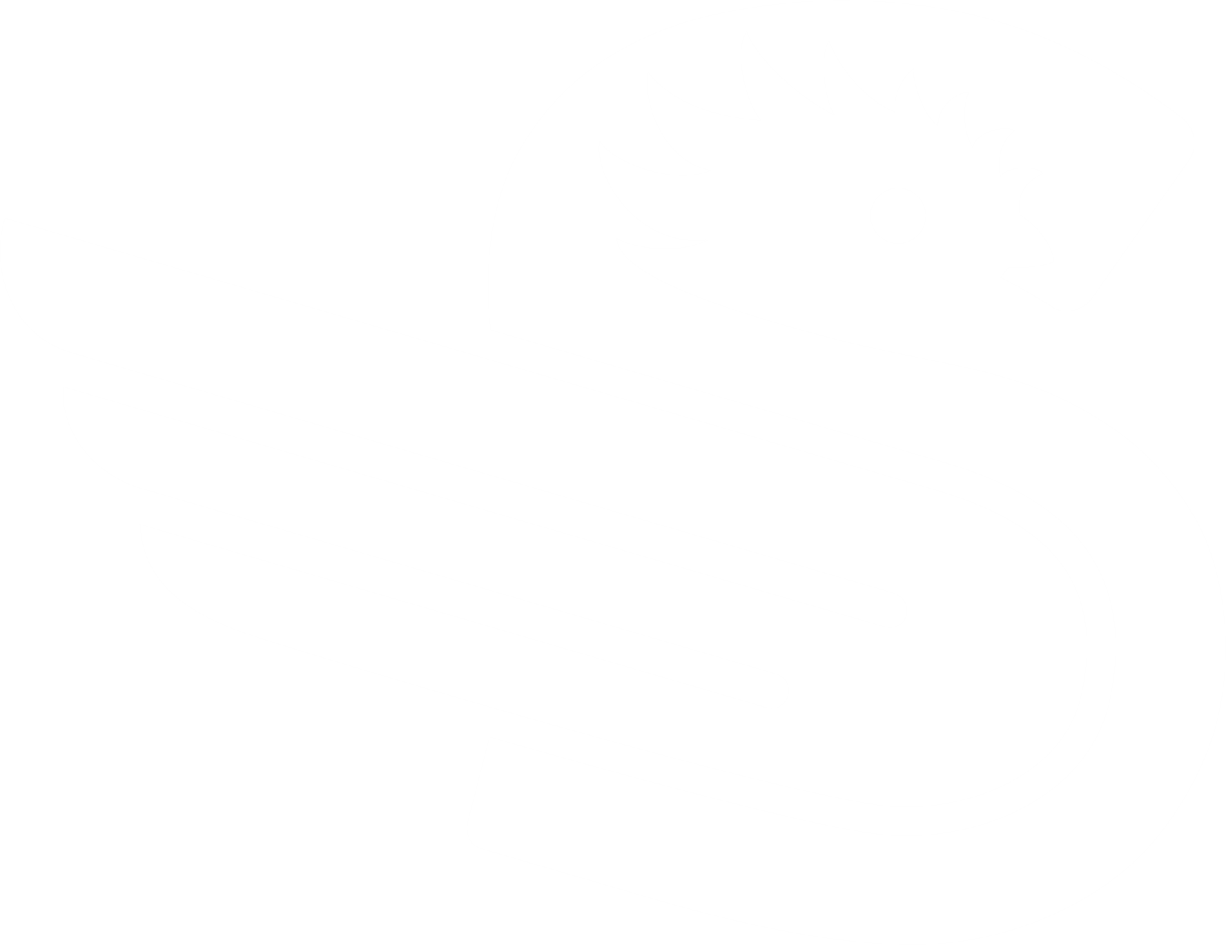 SolVal Print